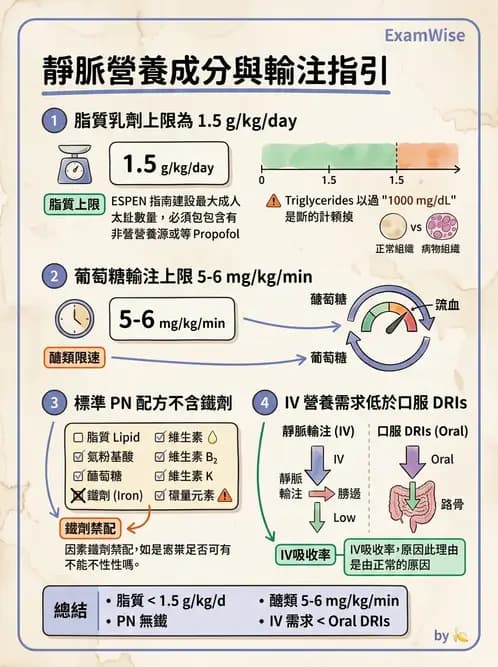營養 - 營養支持 - AI 圖文解析預覽