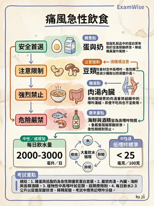 營養 - 骨骼與關節疾病 - AI 圖文解析預覽