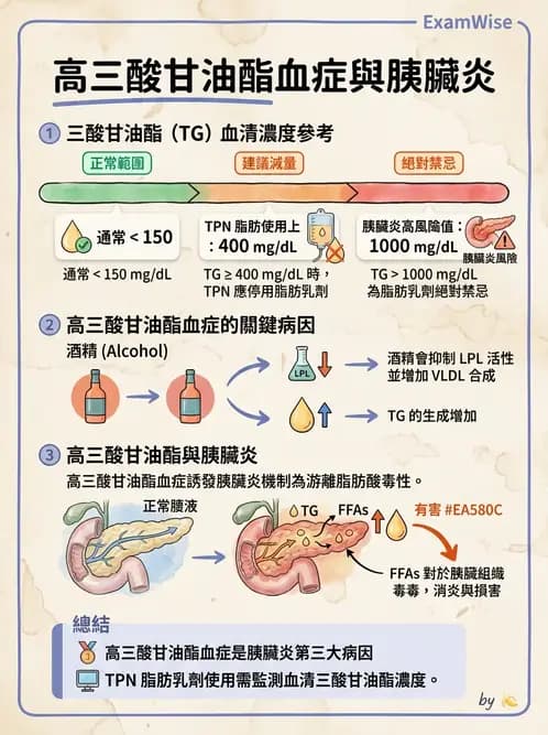 營養 - 肝膽疾病 - AI 圖文解析預覽