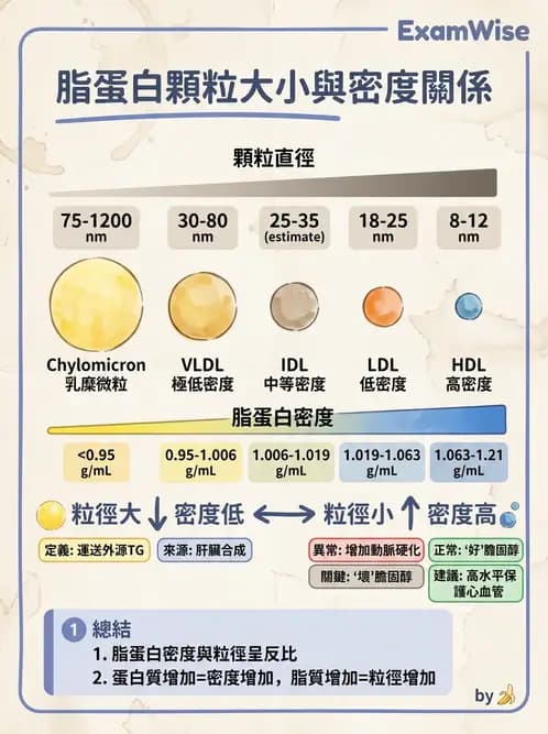 營養 - 心臟衰竭、移植與血脂管理 - AI 圖文解析預覽