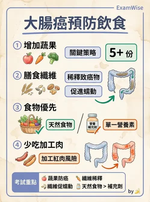 營養 - 癌症營養 - AI 圖文解析預覽