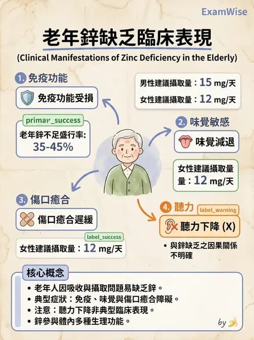 營養 - 老人營養與長期照護 - AI 圖文解析預覽
