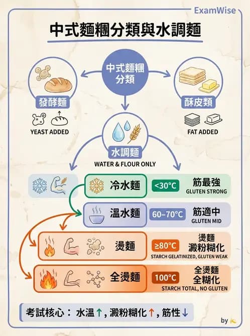 營養 - 穀類、澱粉與麵粉製備原理 - AI 圖文解析預覽