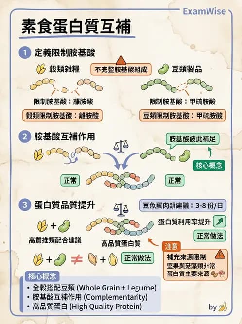 營養 - DRIs與飲食指南 - AI 圖文解析預覽