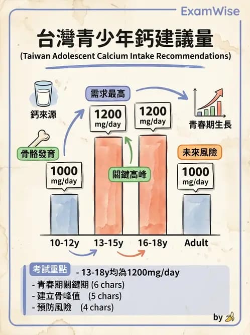 營養 - DRIs與飲食指南 - AI 圖文解析預覽