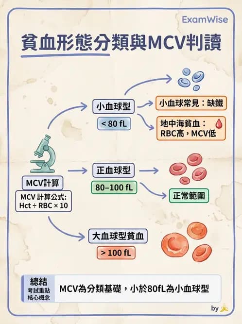 營養 - 生化指標與營養缺乏 - AI 圖文解析預覽