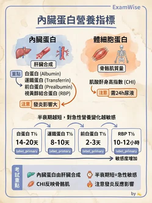 營養 - 生化指標與營養缺乏 - AI 圖文解析預覽