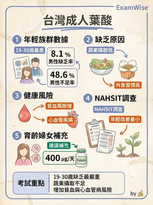 營養 - 國民營養健康狀況變遷調查 - AI 圖文解析預覽