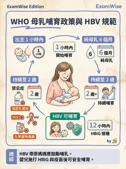 營養 - 母嬰與兒童營養政策 - AI 圖文解析預覽