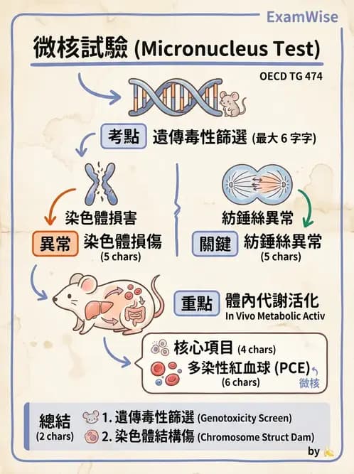 營養 - 食品安全性評估 - AI 圖文解析預覽