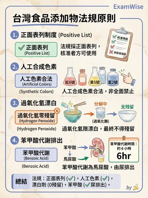 營養 - 食品添加物 - AI 圖文解析預覽