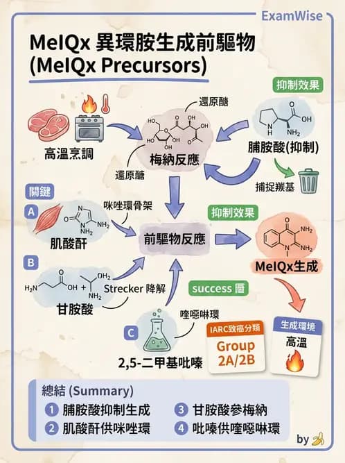 營養 - 化學性危害 - AI 圖文解析預覽