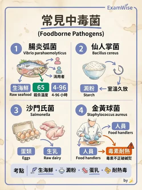 營養 - 食源性病原微生物 - AI 圖文解析預覽