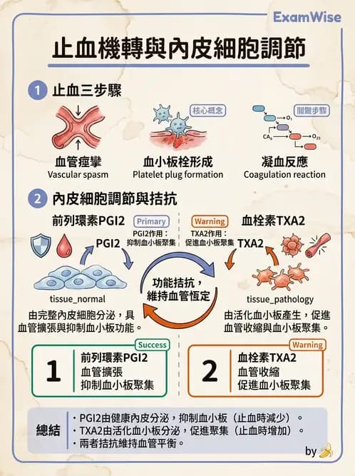 營養 - 血液與免疫 - AI 圖文解析預覽