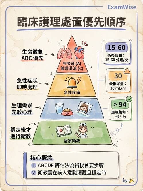 護理師 - 護理過程(評估至評值) - AI 圖文解析預覽