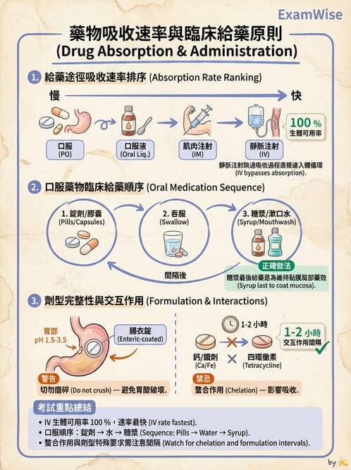 護理師 - 輸血與藥物計算 - AI 圖文解析預覽