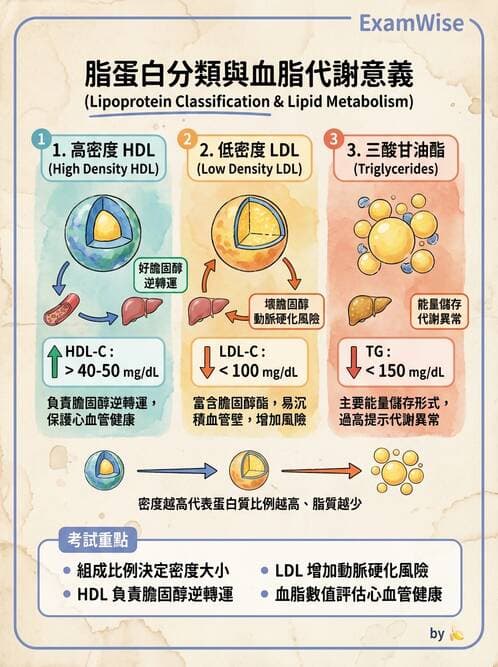 護理師 - 營養與管灌飲食 - AI 圖文解析預覽
