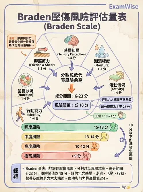 護理師 - 運動功能與傷口護理 - AI 圖文解析預覽