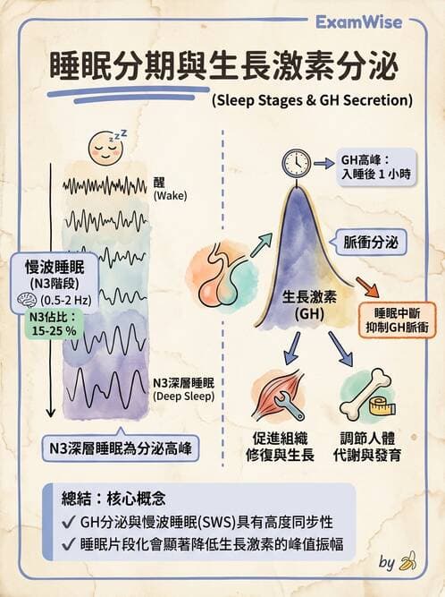 護理師 - 個人衛生與舒適照護 - AI 圖文解析預覽