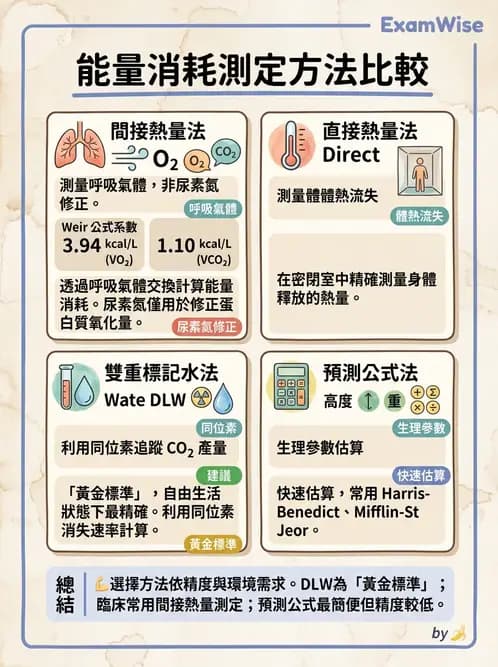 營養 - 能量平衡與食慾控制 - AI 圖文解析預覽