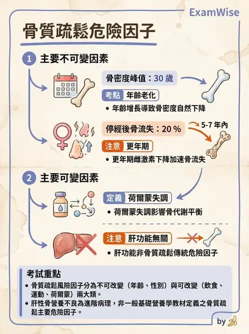 營養 - 巨量礦物質營養素 - AI 圖文解析預覽