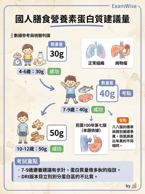 營養 - 兒童青少年與老年營養 - AI 圖文解析預覽