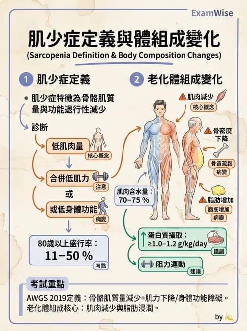 營養 - 兒童青少年與老年營養 - AI 圖文解析預覽