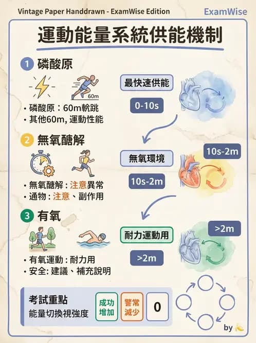 營養 - 當代營養學相關議題 - AI 圖文解析預覽