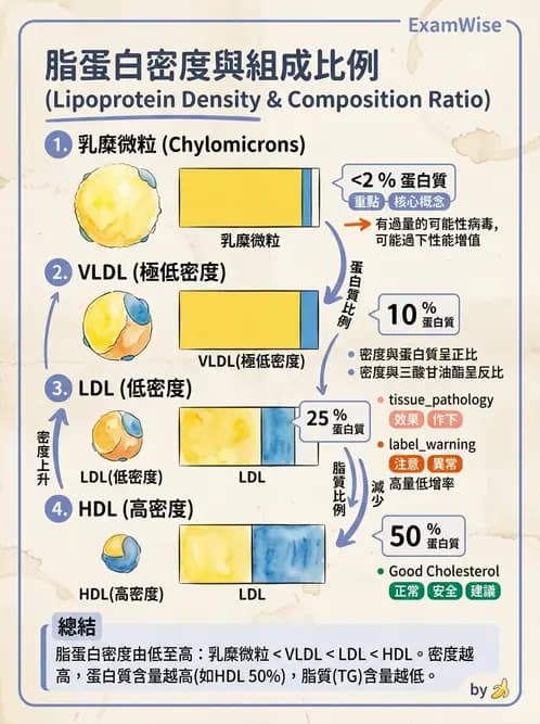 營養 - 心臟衰竭、移植與血脂管理 - AI 圖文解析預覽
