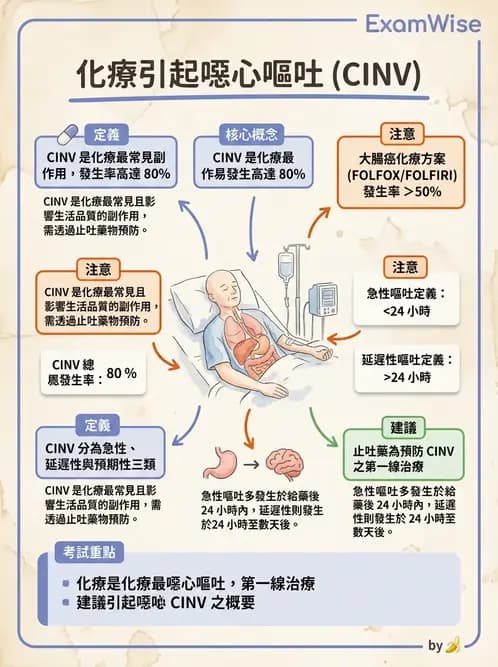 營養 - 癌症營養 - AI 圖文解析預覽