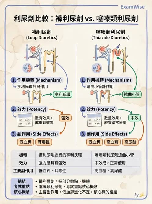 營養 - 動植物性食材製備原理 - AI 圖文解析預覽
