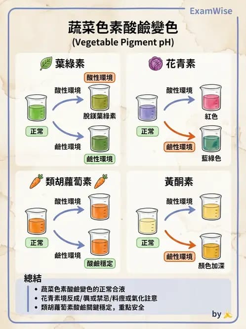 營養 - 動植物性食材製備原理 - AI 圖文解析預覽