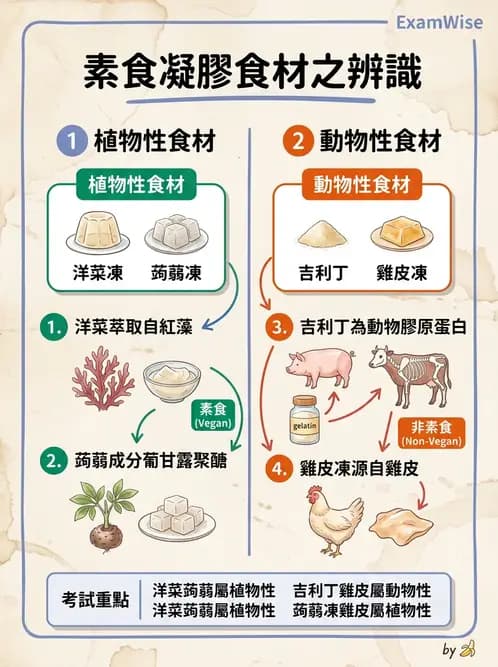 營養 - 機構供膳類型與特殊對象飲食設計 - AI 圖文解析預覽