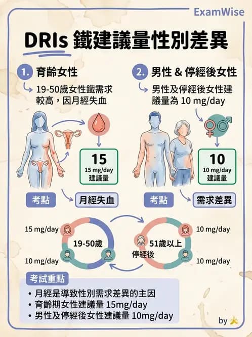 營養 - DRIs與飲食指南 - AI 圖文解析預覽