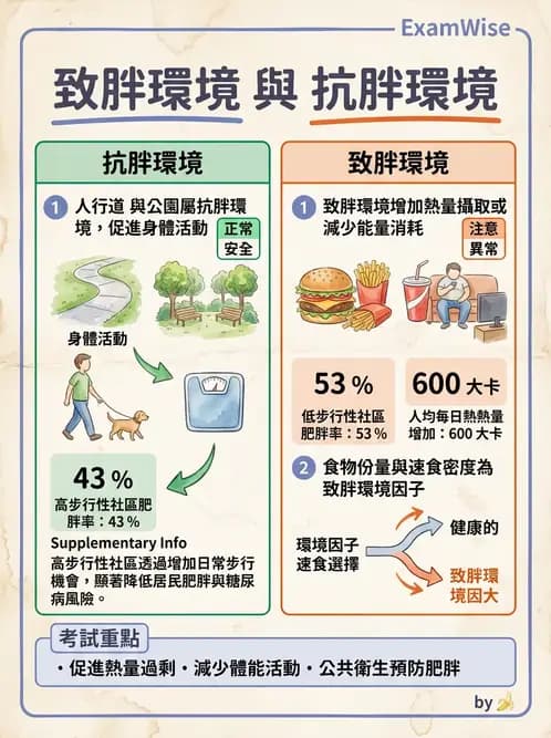 營養 - 社區營養計畫規劃與行銷 - AI 圖文解析預覽