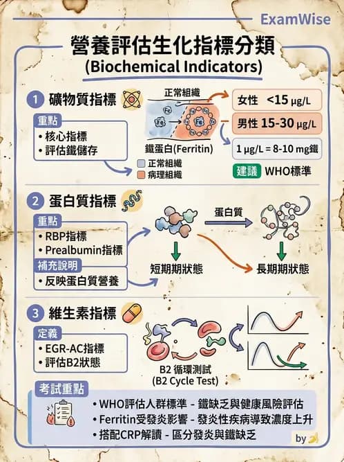 營養 - 生化指標與營養缺乏 - AI 圖文解析預覽