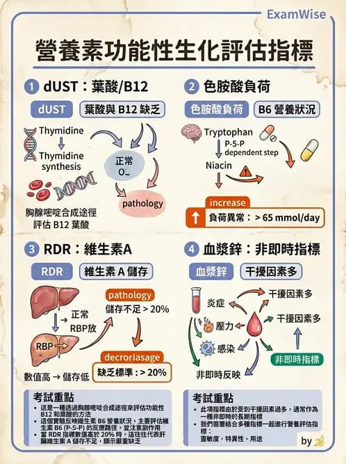 營養 - 生化指標與營養缺乏 - AI 圖文解析預覽
