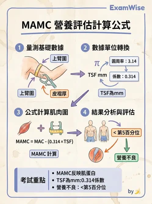 營養 - 體位評估 - AI 圖文解析預覽