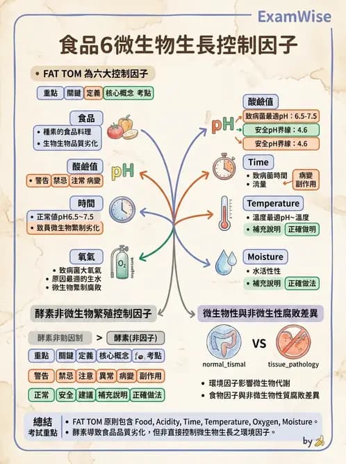 營養 - 食品腐敗微生物學 - AI 圖文解析預覽