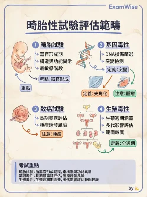 營養 - 食品安全性評估 - AI 圖文解析預覽