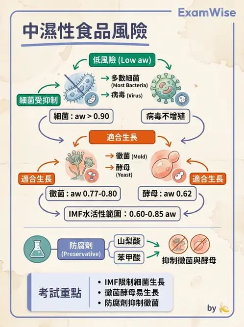 營養 - 食品添加物 - AI 圖文解析預覽