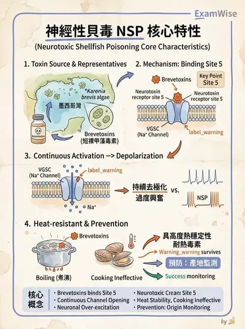 營養 - 天然毒素 - AI 圖文解析預覽