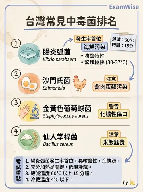 營養 - 食品腐敗微生物學 - AI 圖文解析預覽