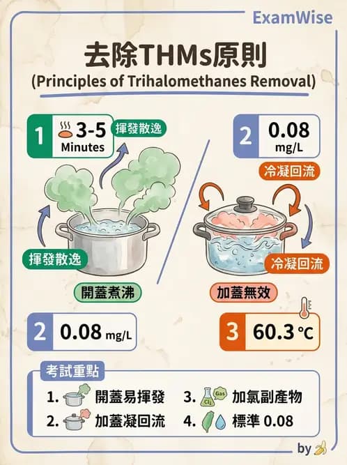 營養 - 化學性危害 - AI 圖文解析預覽