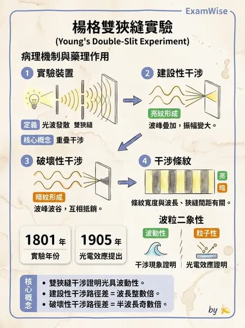 驗光師 - 折射定律、反射與光學現象 - AI 圖文解析預覽