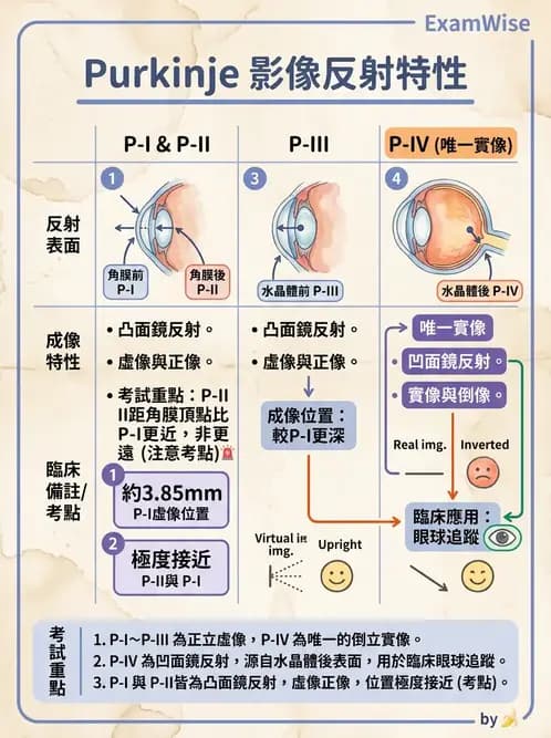 驗光師 - 眼球屈光系統基本原理 - AI 圖文解析預覽