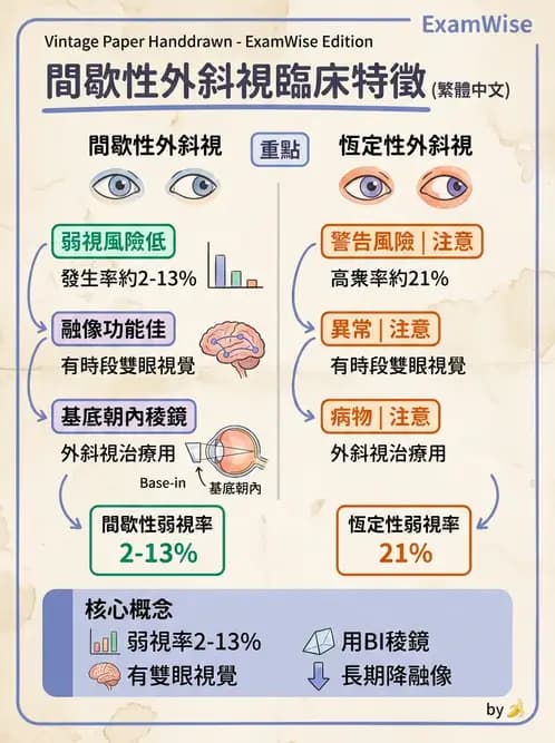 驗光師 - 斜視 - AI 圖文解析預覽