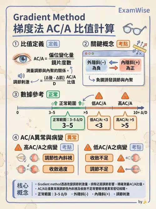驗光師 - 調節性內聚力與聚散功能檢測 - AI 圖文解析預覽