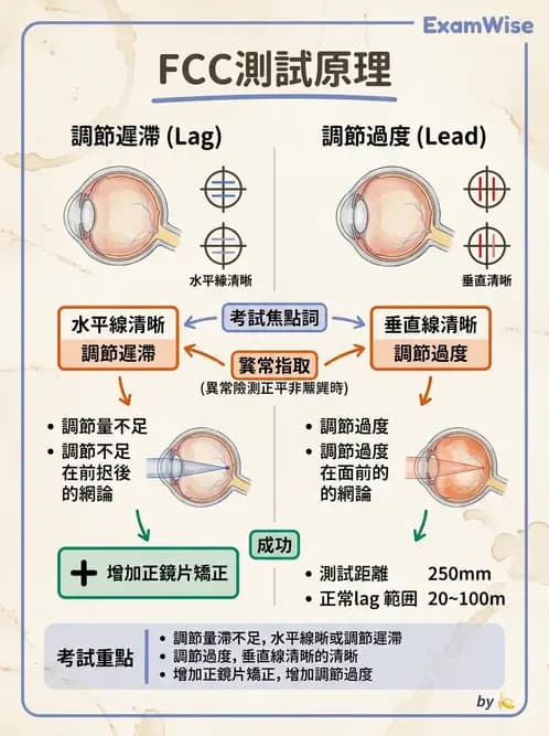 驗光師 - 老花眼主觀驗光與相對調節力 - AI 圖文解析預覽