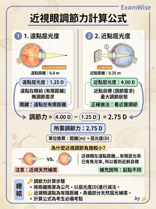 驗光師 - 調節功能異常與處置 - AI 圖文解析預覽